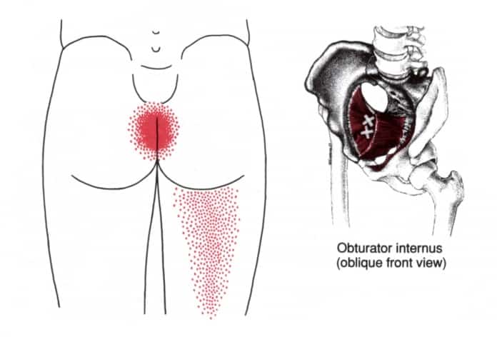 Dehnung des Obturator internus