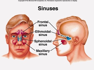 Bihulehodepine Sinusitthodepine Nar Bihulene Gir Deg Hodepine