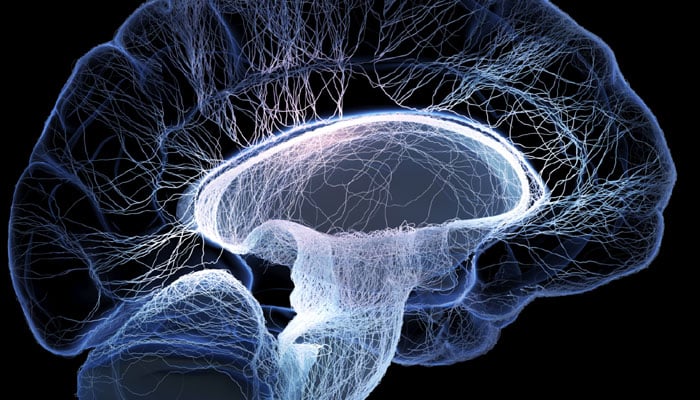 6 Tanda Kanser Otak  Gejala dan penemuan / tanda klinikal